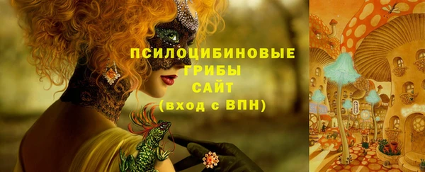молекула духа Балабаново