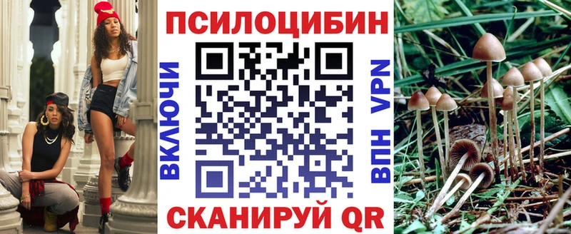 Галлюциногенные грибы мицелий  купить наркотики сайты  Урень 